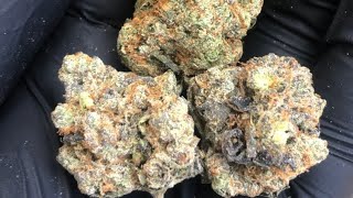 Georgia Pie (Strain Review #83) (Spain)