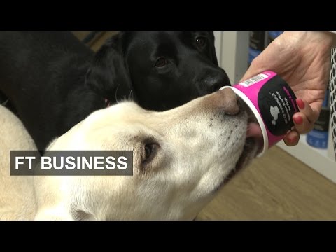 比人吃得還澎湃？寵物食品越來越豪華 I FT Business (Pet food goes posh I FT Business)