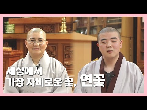연꽃, 왜 불교를 상징하는 꽃일까? - 로투스 1화