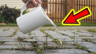 Destroy Weeds in Seconds with Just ONE Drop!