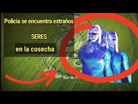 POLICÍA se encuentra EXTRAÑOS SERES con Aspecto nordico