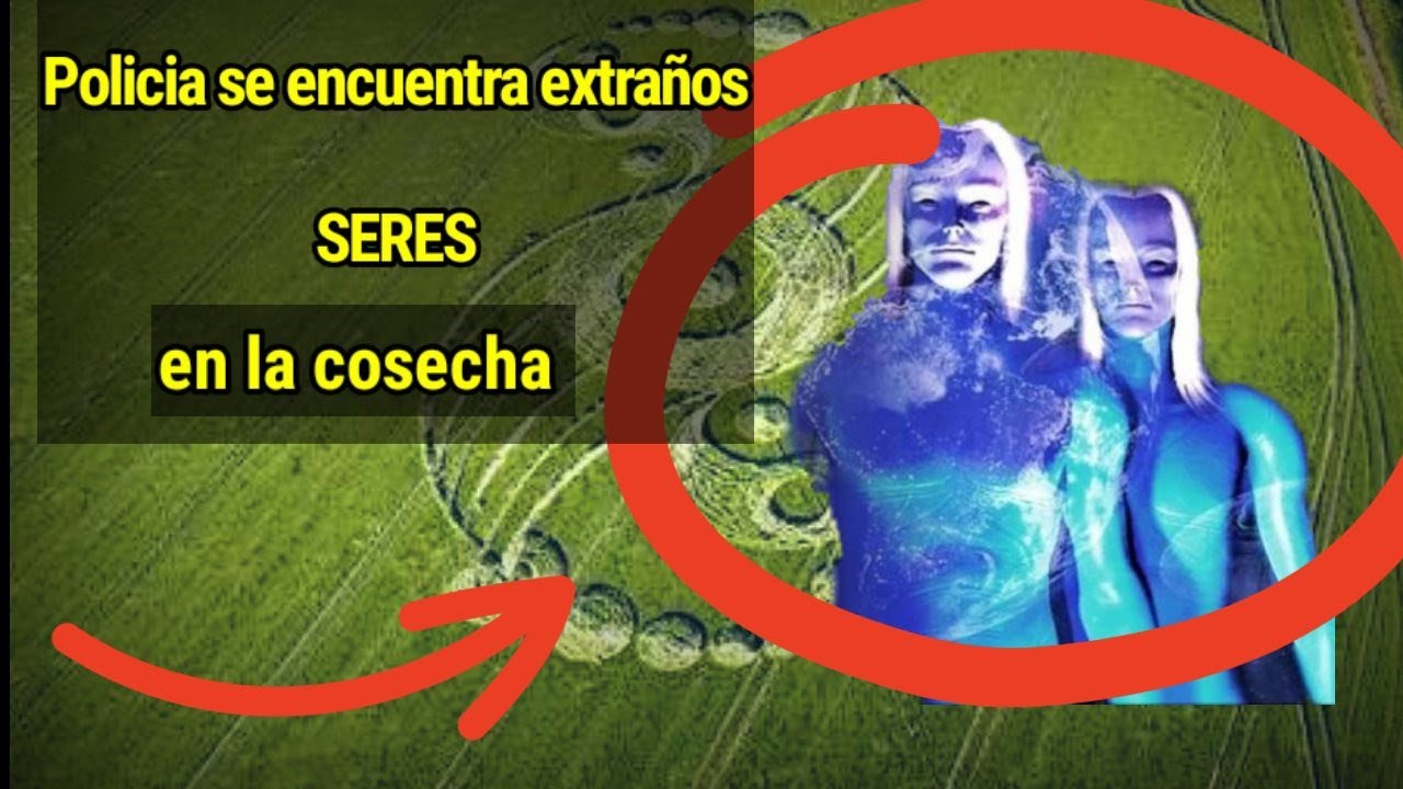 POLICÍA se encuentra EXTRAÑOS SERES con Aspecto nordico