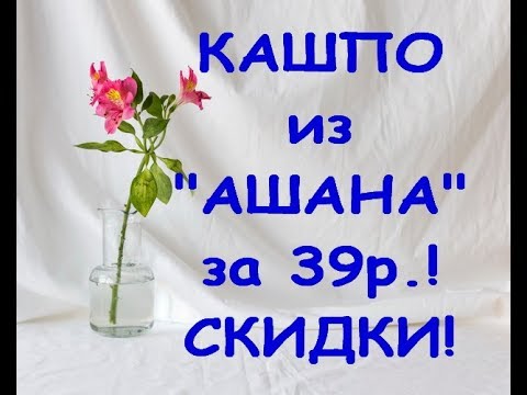 Накупила КАШПО для ОРХИДЕЙ по 39р. по СКИДКЕ в "Ашане"!!!