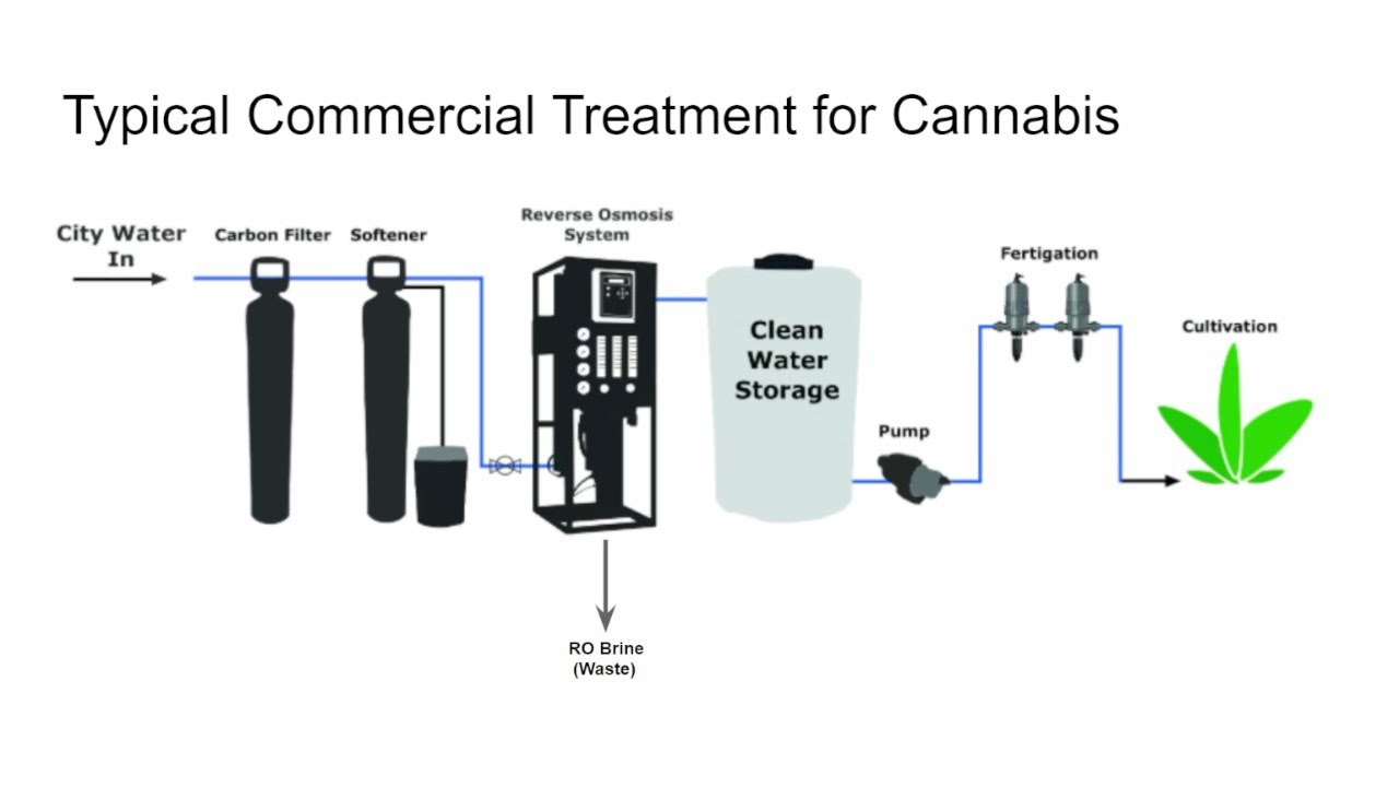 Water Treatment for your Cannabis Grow