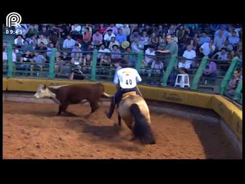 Bocal de Ouro Esteio (RS) – 4° lugar fêmeas – La Castellana Honra da Casa