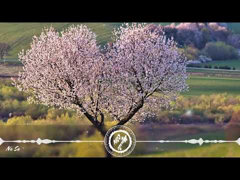 Lu-Ni feat. Julia Carbajal - No Se