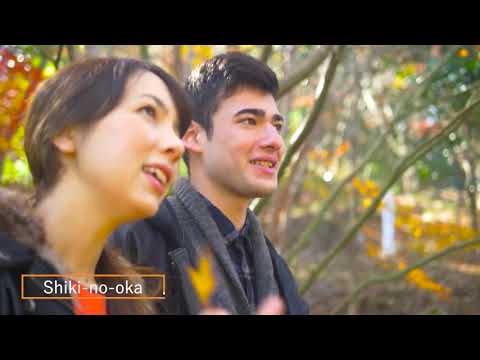 Japan Kyushu Tourist Movie Autumn