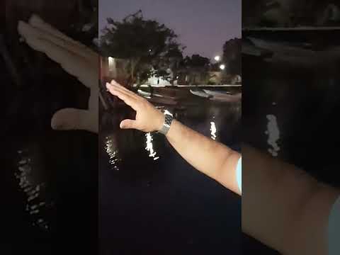 Alvarães, Orla da comunidade do Nogueira! estado do Amazonas