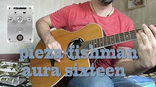 Video thumbnail for fishman aura sixteen demo by Сема Апрелевка