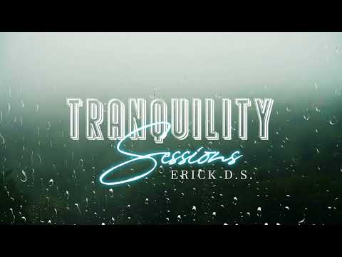 Tranquility Sessions (Mini Mix)