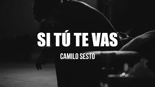 Camilo Sesto - Si Tú Te Vas (Letra)