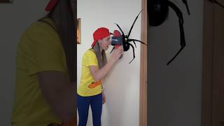 Download lagu OMG Super Giant SPIDER WY BI in room & #bushcraft #bhojpuri #memes #viral #p4871 mp3