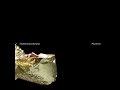 Pluramon feat Julee Cruise - K-Land