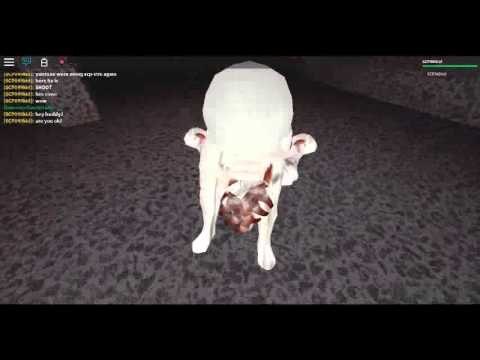 SCP-maze scp-096 ASD