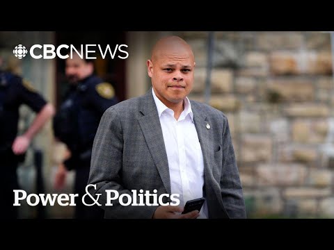 Conservative MP Jamil Jivani says he's ready to help Canada-U.S. issues | Power & Politics