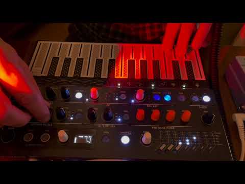 Jamuary 2021, 13 - Melodic Arturia Microfreak Live Jam - Zoom MS-70CDR