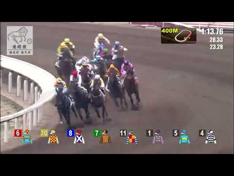 港經佬賽事重溫(474)｜06-03-2022 沙田日馬第三場賽事重溫｜妙算歡騰 MISSION BRAVO (E383)｜霍宏聲 L Ferraris｜丁冠豪 K H Ting｜免費心水及賽馬貼士