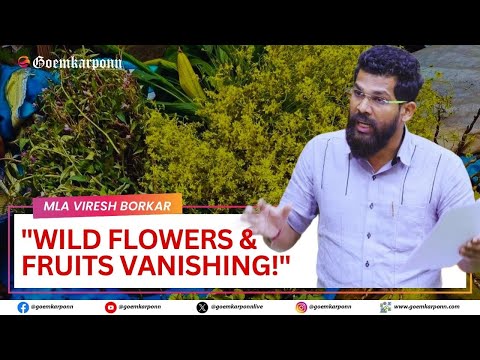 "Wild Flowers & Fruits Vanishing!" – Viresh Borkar Raises Alarm Before Ganesh Chaturthi