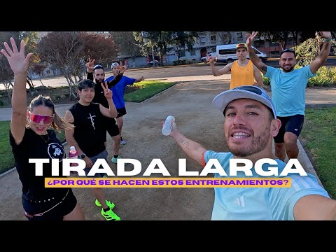 Why do a long run before the marathon? / Training vlog