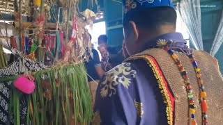 Download lagu 2025 mass tiwah in Tewang Tampang village, Tasik Payawan sub-district, Katingan regency, Central ... mp3