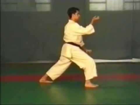 Enpi + bunkai   Shotokan Karate kata Luca Valdesi Reworked version without bugs found via www FileDo
