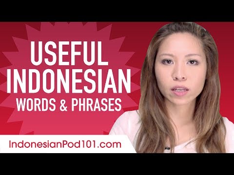 Useful Indonesian Words & Phrases to Speak Like a Native