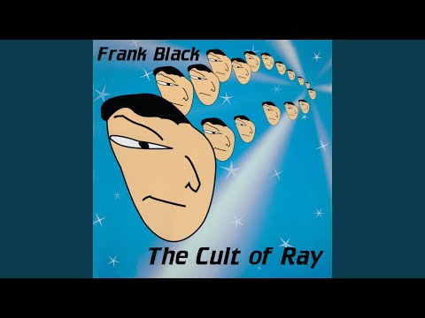 The Last Stand Of Shazeb Andleeb