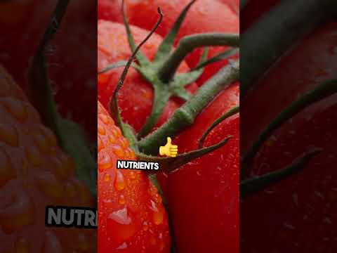 Experience Vine-Ripened Tomatoes with ZALZA! | THC-Infused Marinara Sauce 🌿🍅 #thcinfused #marinara