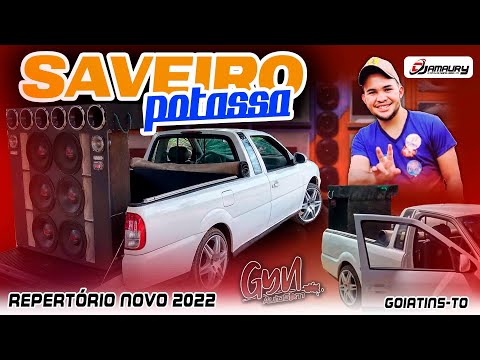 CD SAVEIRO POTASSA VOL 01  2022  MIXAGENS DJ AMAURY O TOP DJ DE CAMPOS LINDOS   TO ( Gyn Auto Som )