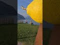 Big Lemon At The Lake Iseo Northern Italy