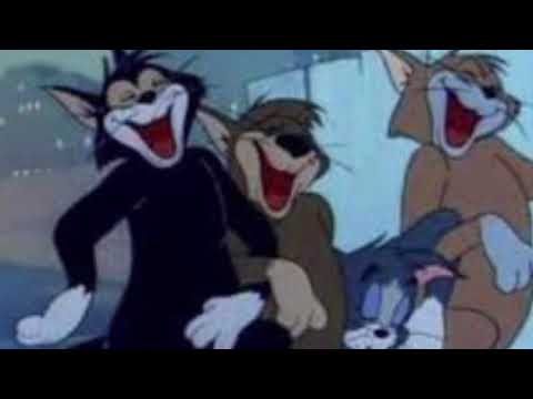 steD K - MIAMI (ft.Gl33K)[prod.CAT IN DA GLASSES]