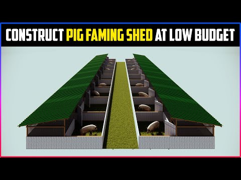 Pig Faming Shed Plan At Low Budget | How To Construct Hog/Swine Farming Shed For Beginners