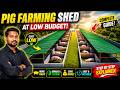 Pig Faming Shed Plan At Low Budget How To Construct Hog Swine Farming Shed For Beginners
