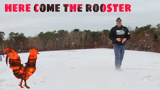 Bitter COLD - Plastic RC's - It's a recipe for Disaster 😲