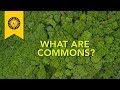 What are commons?
