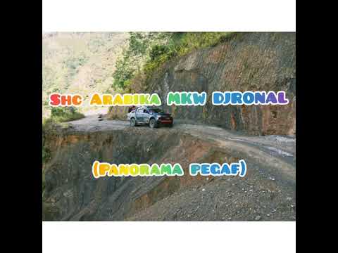 Shc Arabika MKW DJRONAL (panorama pegaf) music video)