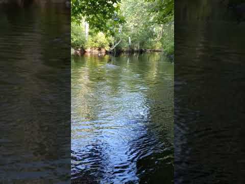 Water surrounding the island