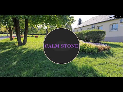 Hungarian Park Ambient Short - ハンガリアン パーク アンビエント ショート