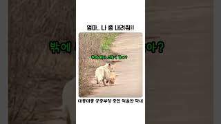유튜브 썸네일
