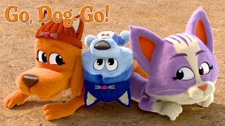 GO  DOG. GO! | Season 3 Trailer | Netflix