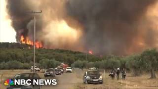 Firefighters battle blaze in France's Fontainebleau forest amid deadly fires in Europe