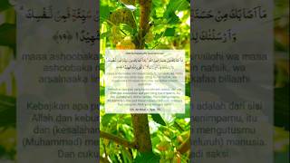 Download lagu Surat An Nisa ayat 79 #alquran #bismillah #short #generasiquraniyangkuatdanamanat mp3 Download lagu Surat An Nisa ayat 79 #alquran #bismillah #short #generasiquraniyangkuatdanamanat mp3
