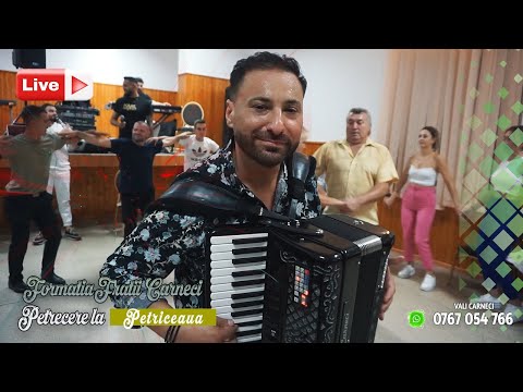 Formatia Fratii Carneci - Colajul ❎ PIETRICENILOR ❎ special pentru nasu mare COSTIN ❎ SARBE 2025