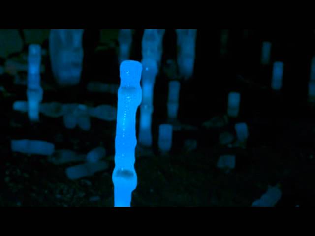 Aura | Traversée immersive