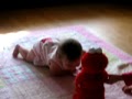 Sarah Meets Tickle Me Elmo 11 5 09
