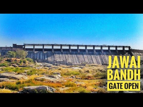 Jawai Bandh Gate | Latest Marwadi Comedy | Best Funny Marwadi Dubbing Comedy | जँवाई नदी उफान पर Video