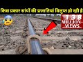 देखें कैसे इस दुनिया में सांपों की प्र