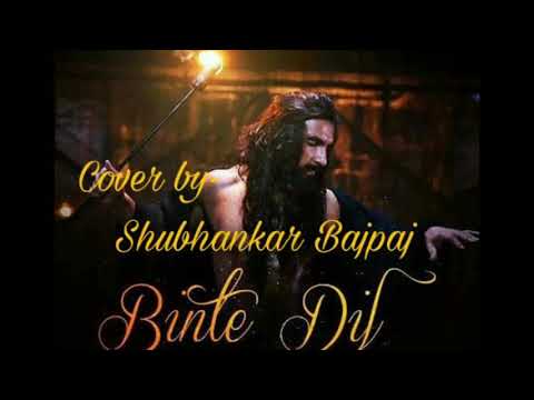 Shubhankar Bajpai Binte dil