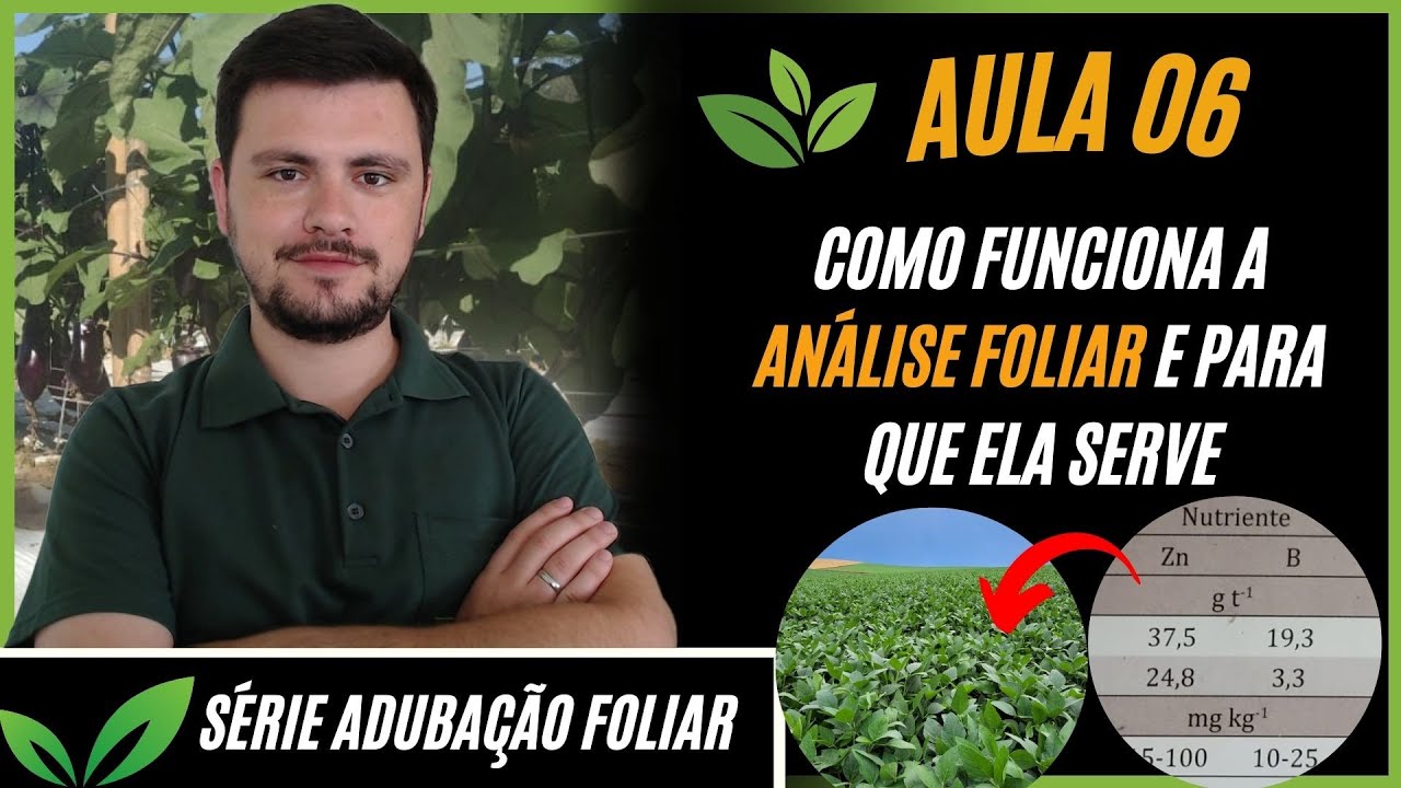 Aula 06: O que é a ANÁLISE FOLIAR e como ela funciona