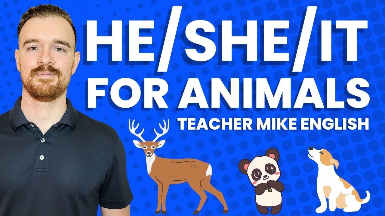 What pronoun is used for animals?